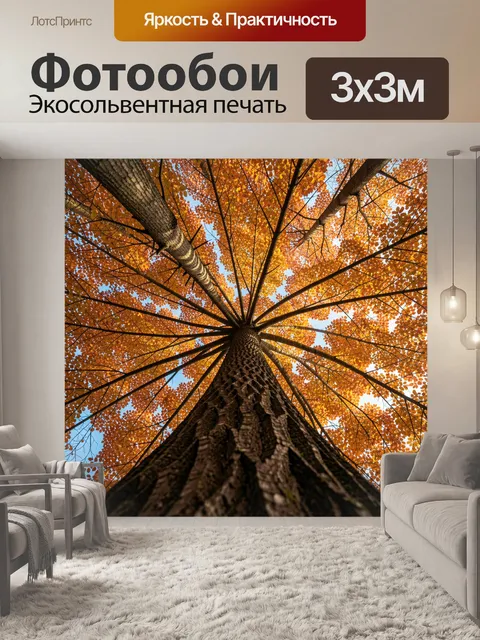 Фотообои Осенние кроны снизу