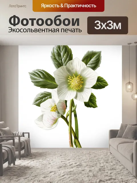 Фотообои Цветы клипарт графический рисунок