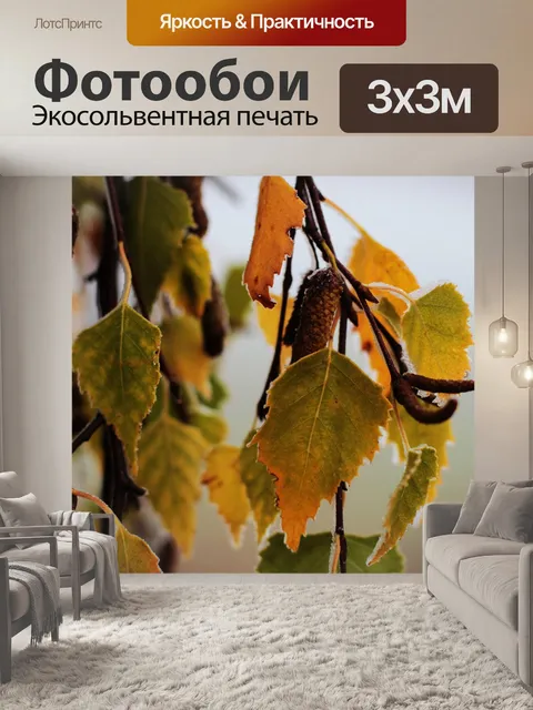 Фотообои Береза