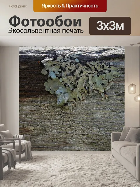 Фотообои Грибной узор на дереве