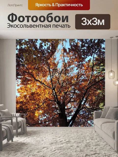Фотообои Лес