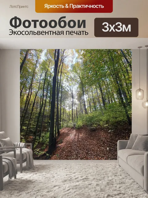 Фотообои Лес