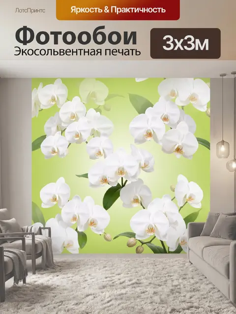 Фотообои Белые орхидеи на салатовом фоне