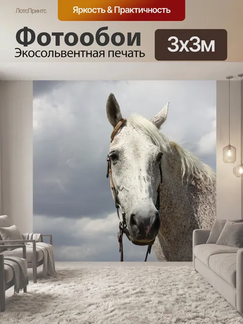 Фотообои Лошадь