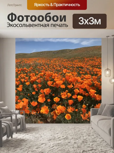 Фотообои Поле маков