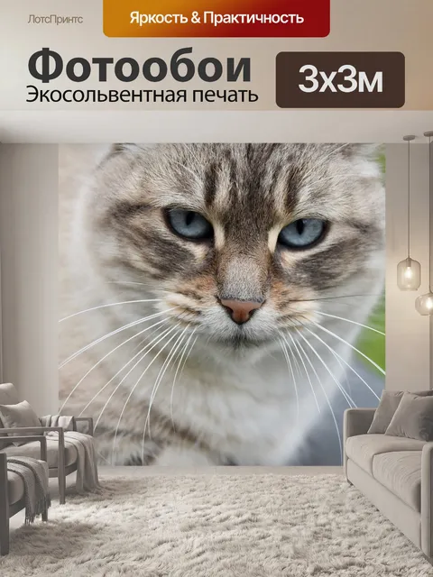 Фотообои Кошка