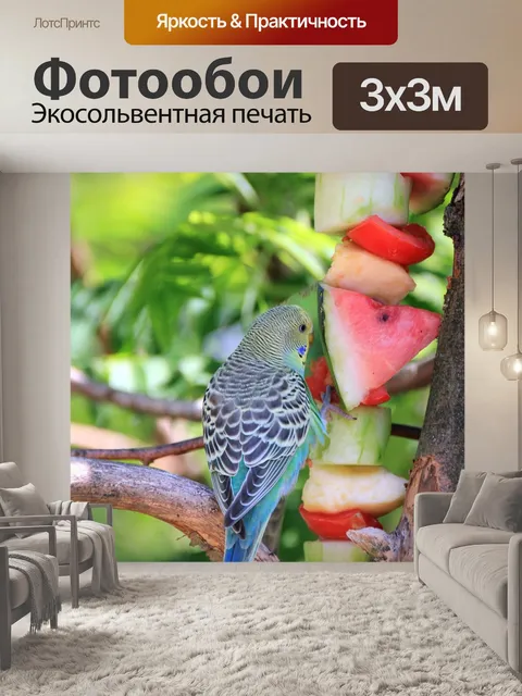 Фотообои Животное