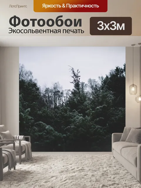 Фотообои Темный