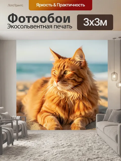 Фотообои Рыжий мейн-кун на пляже