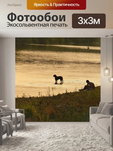 Фотообои Собака