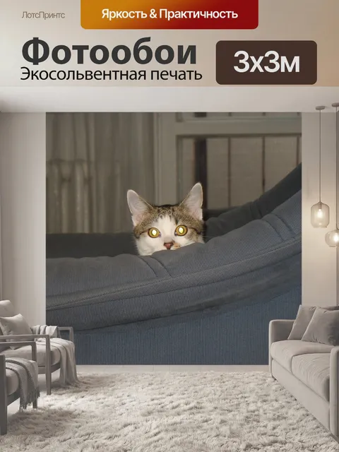 Фотообои Кошка