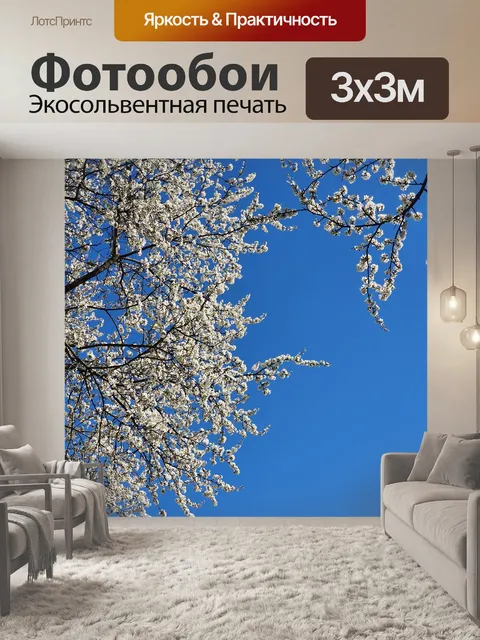 Фотообои Сакура