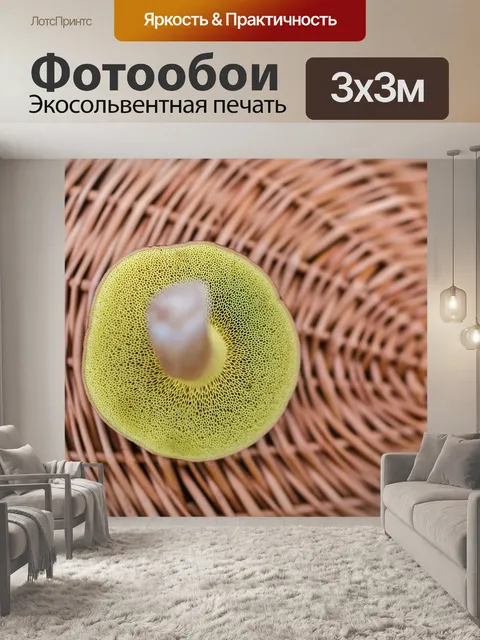 Фотообои Корзина