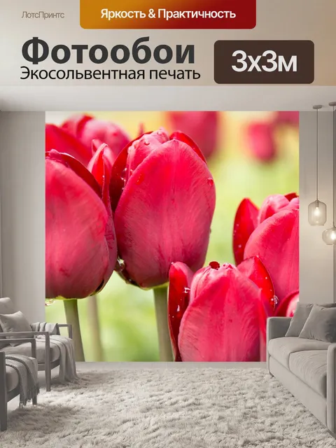 Фотообои Тюльпаны