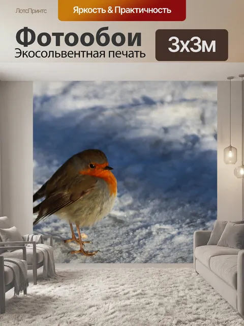 Фотообои Птица