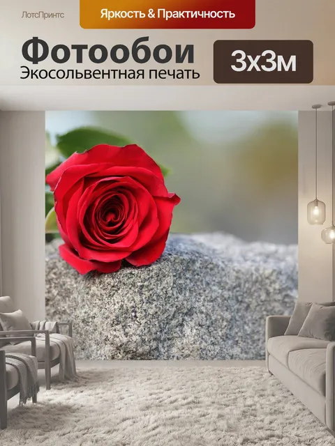 Фотообои Один красная роза