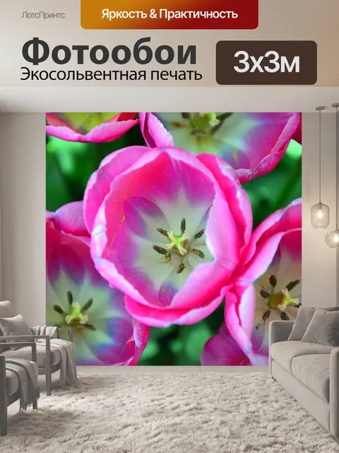 Фотообои Тюльпаны