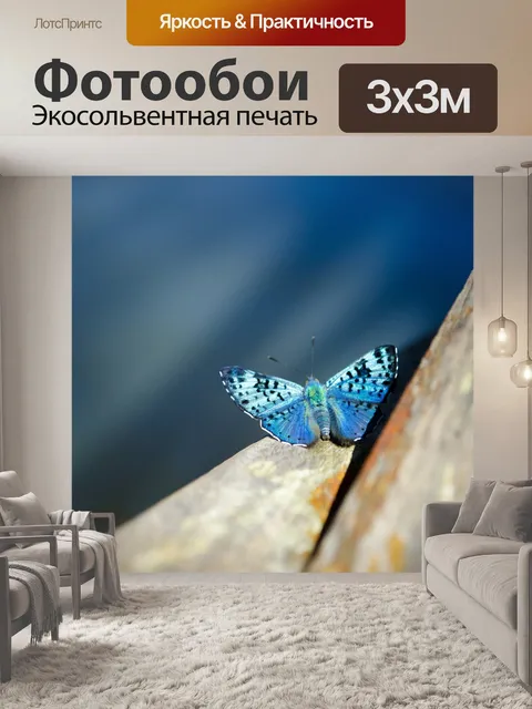 Фотообои Бабочка