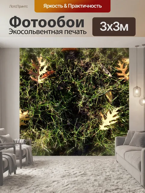 Фотообои Золотые листья на траве