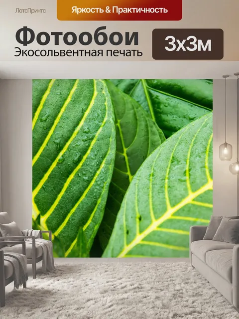 Фотообои Зеленые тропические листья