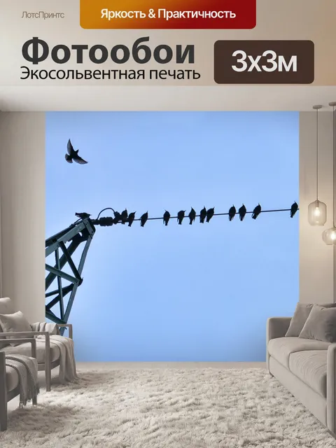 Фотообои Птицы