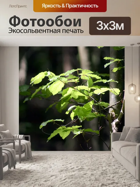 Фотообои Лес