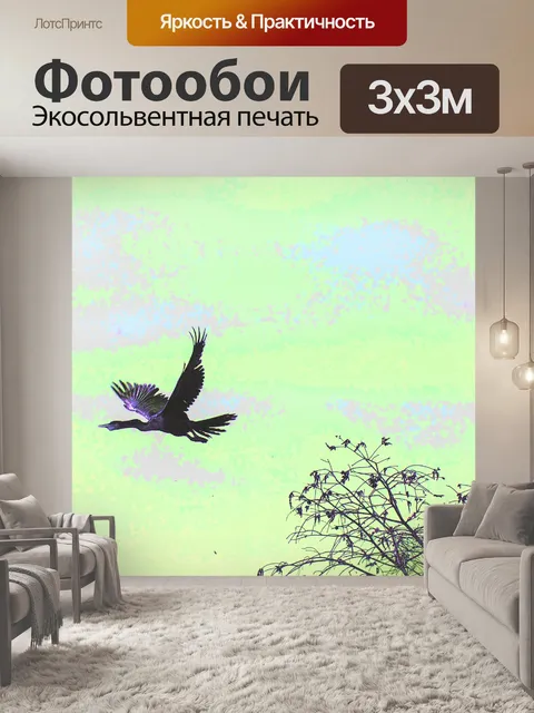 Фотообои Птица в полете