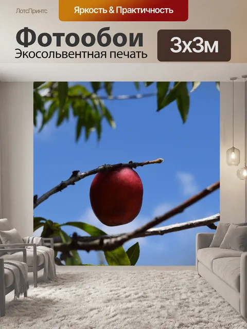 Фотообои Дерево