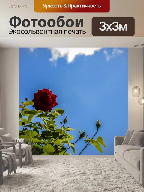 Фотообои Роуз