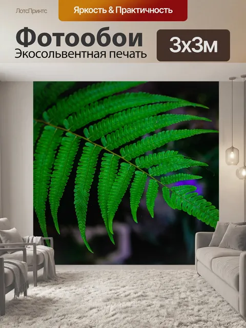 Фотообои Папоротник