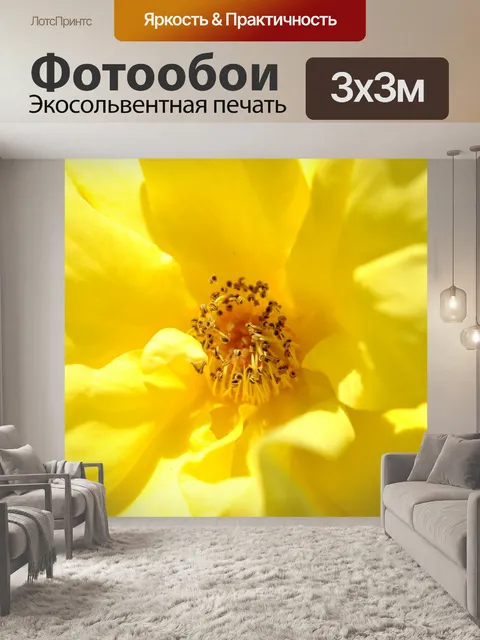 Фотообои Балконное растение