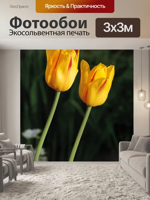 Фотообои Тюльпаны
