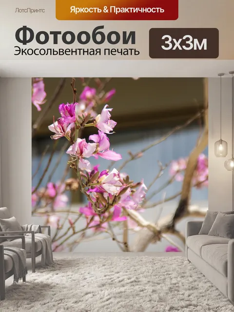 Фотообои Весна в городе