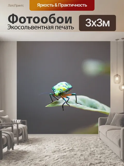 Фотообои Жук