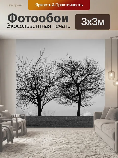 Фотообои Черно-белый