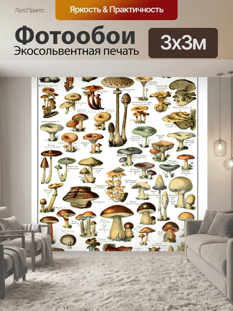 Фотообои Художественная печать на грибах
