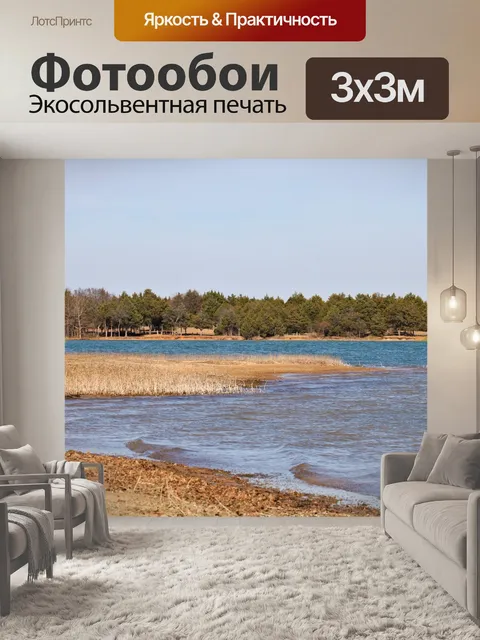 Фотообои Берег озера зимой