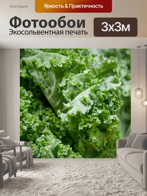 Фотообои Овощ