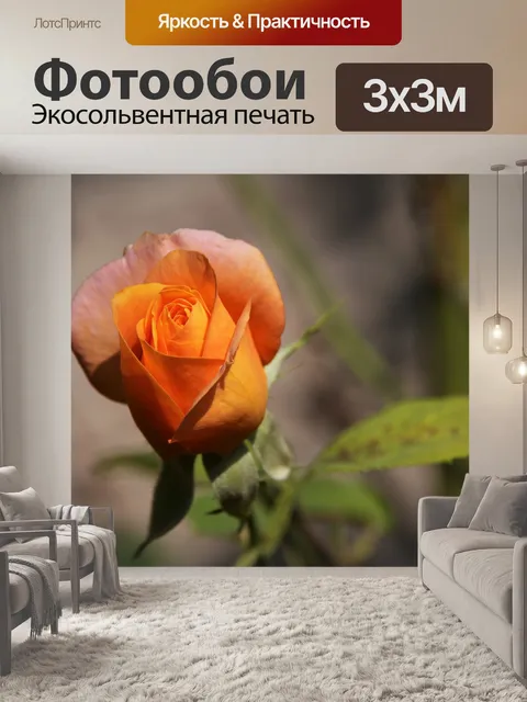 Фотообои Розовая золотая медаль