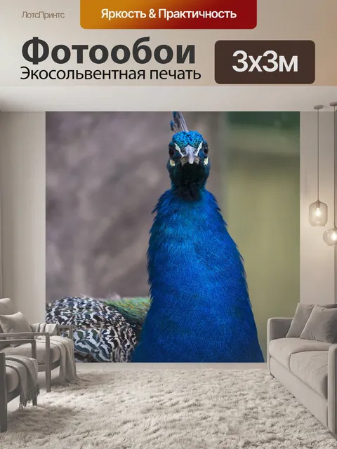 Фотообои Птица