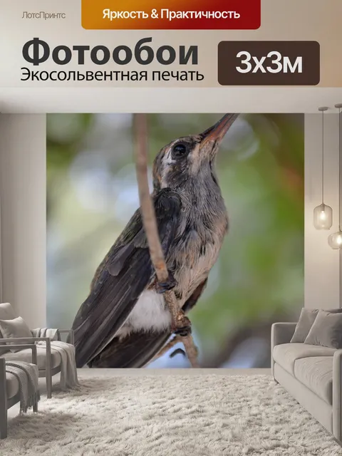 Фотообои Птица