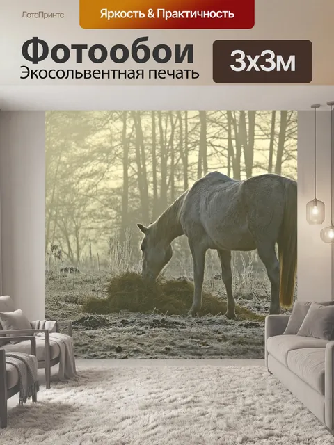 Фотообои Плесень