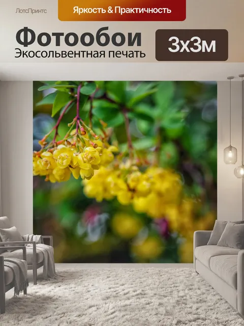 Фотообои Цветы