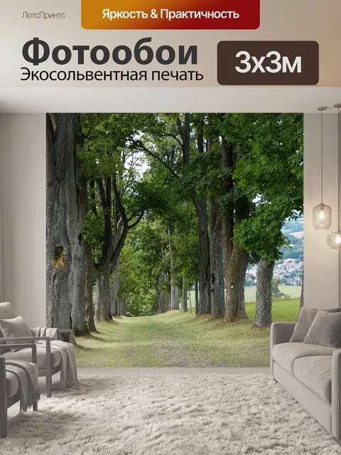 Фотообои Аллея