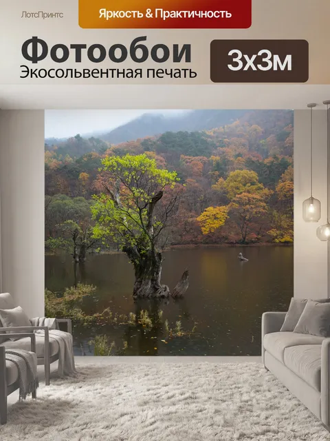 Фотообои Старое дерево