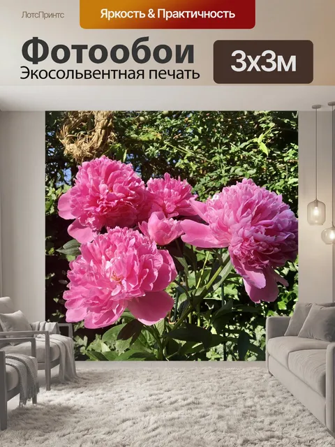 Фотообои Пионы