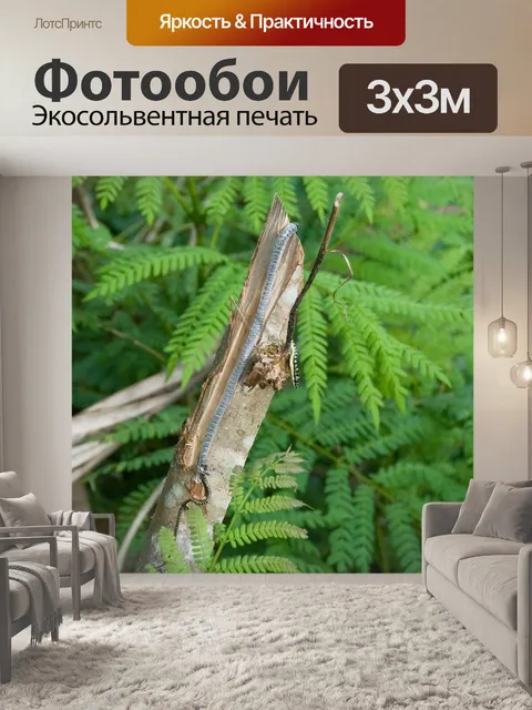 Фотообои Золотая древесная змея