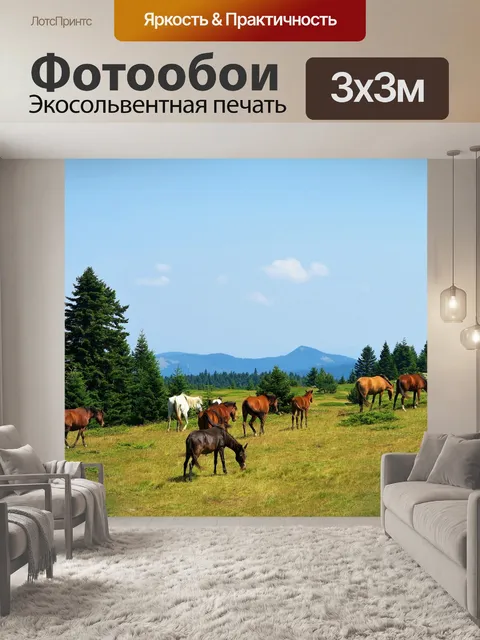 Фотообои Лошади