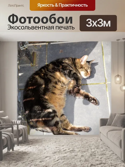 Фотообои 03 кошки