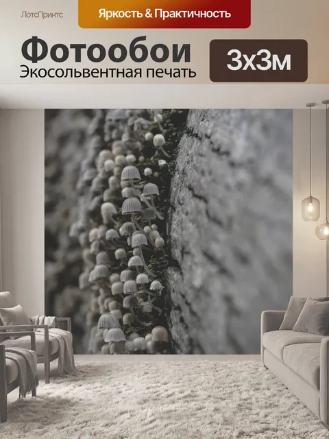 Фотообои Грибы